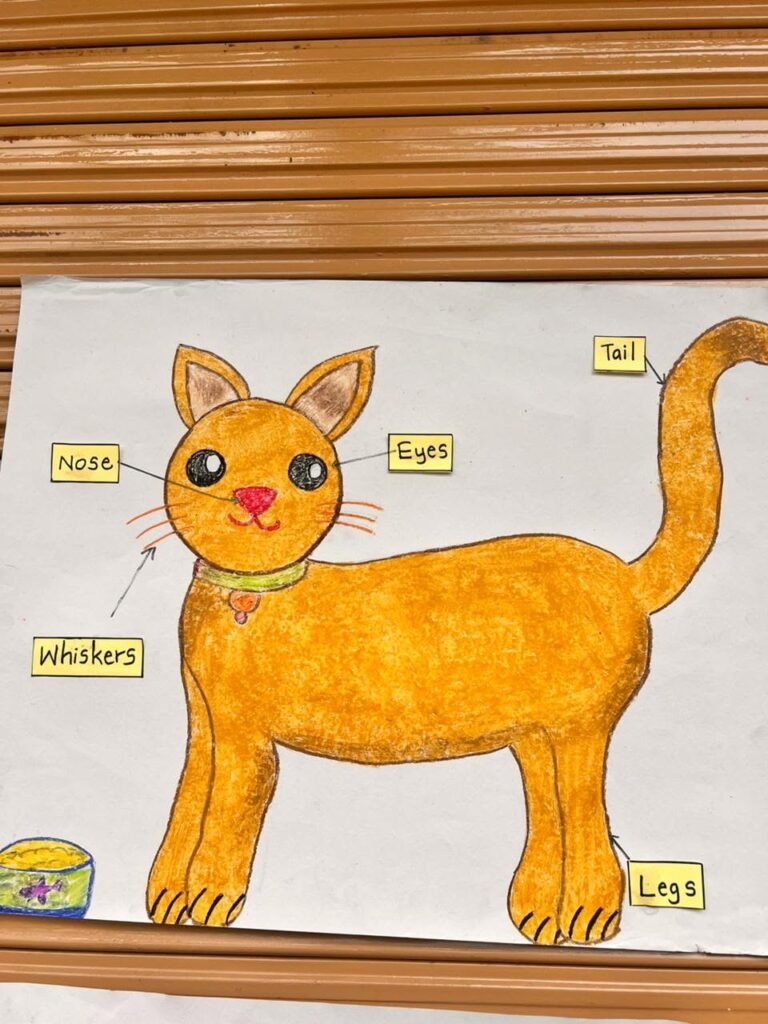 725985697_997737453158412_6641594606350615541_n