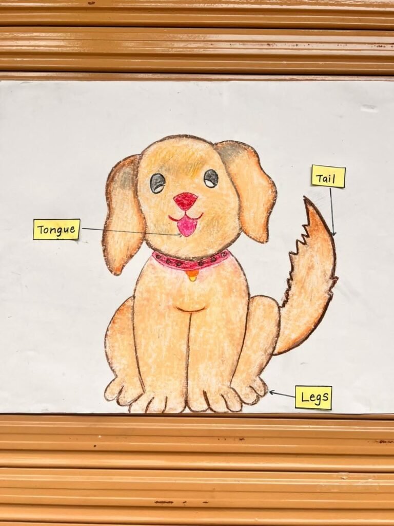 726145431_997737406491750_923944676178777026_n